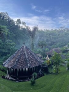 ubud05-scaled.jpg